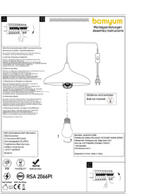 Hängelampe Schwarz mit Stecker 35 cm