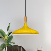 Pendelleuchte Champion Kegel Holz-Kopfteil 35 cm Metall E27 Modern Pendelleuchte