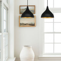 Pendelleuchte Adash Pendelleuchte Schwarz, 1 Flammige Metall Hängelampe Ø26 cm